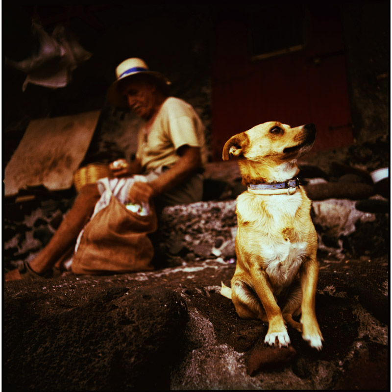 Greece, Griechenland, Ellas, Hasselblad, Reisefotos, Reise, Kykladen, Rossi Photography, Christofors Mechanezidis, Fotograf, Analogfotografie, Sommer, Fotos, Gießen, Giessen