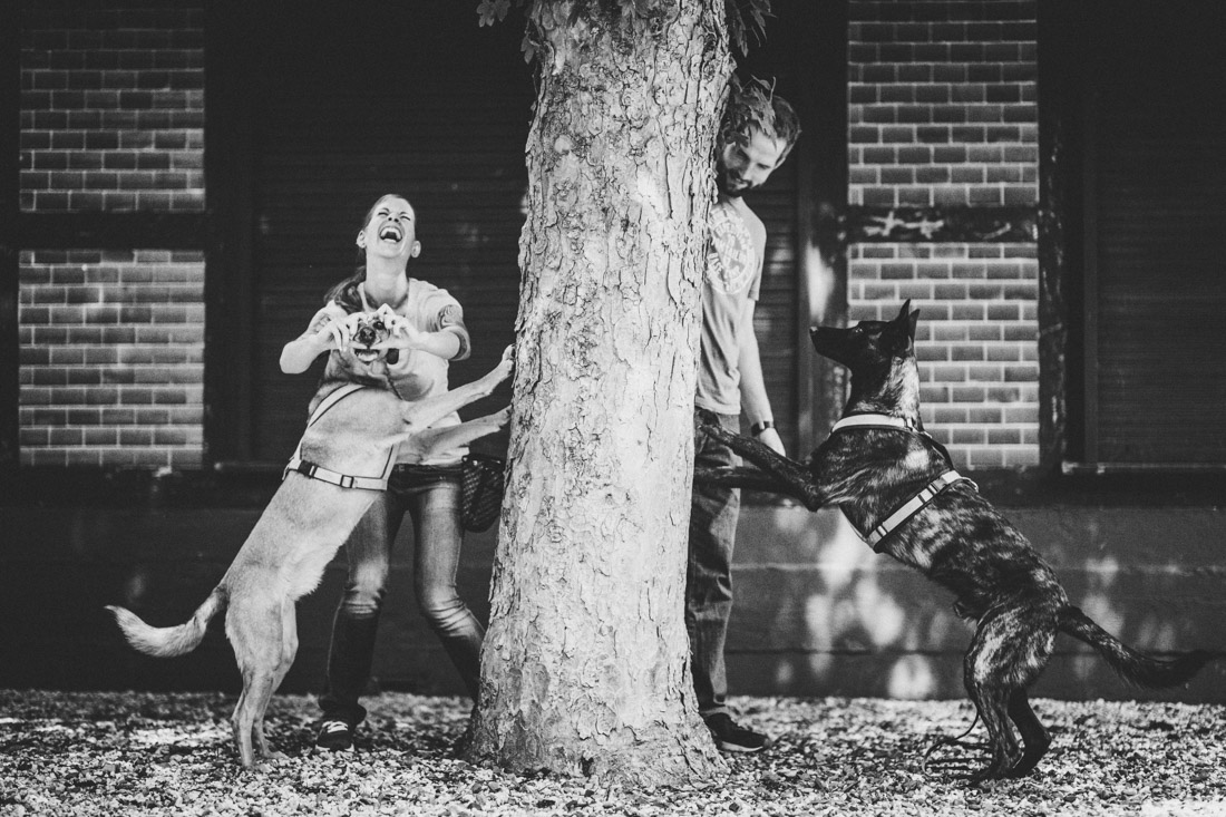 paarshoot mit zwei coolen hunden - hundefotografie und paarfotografie hessen