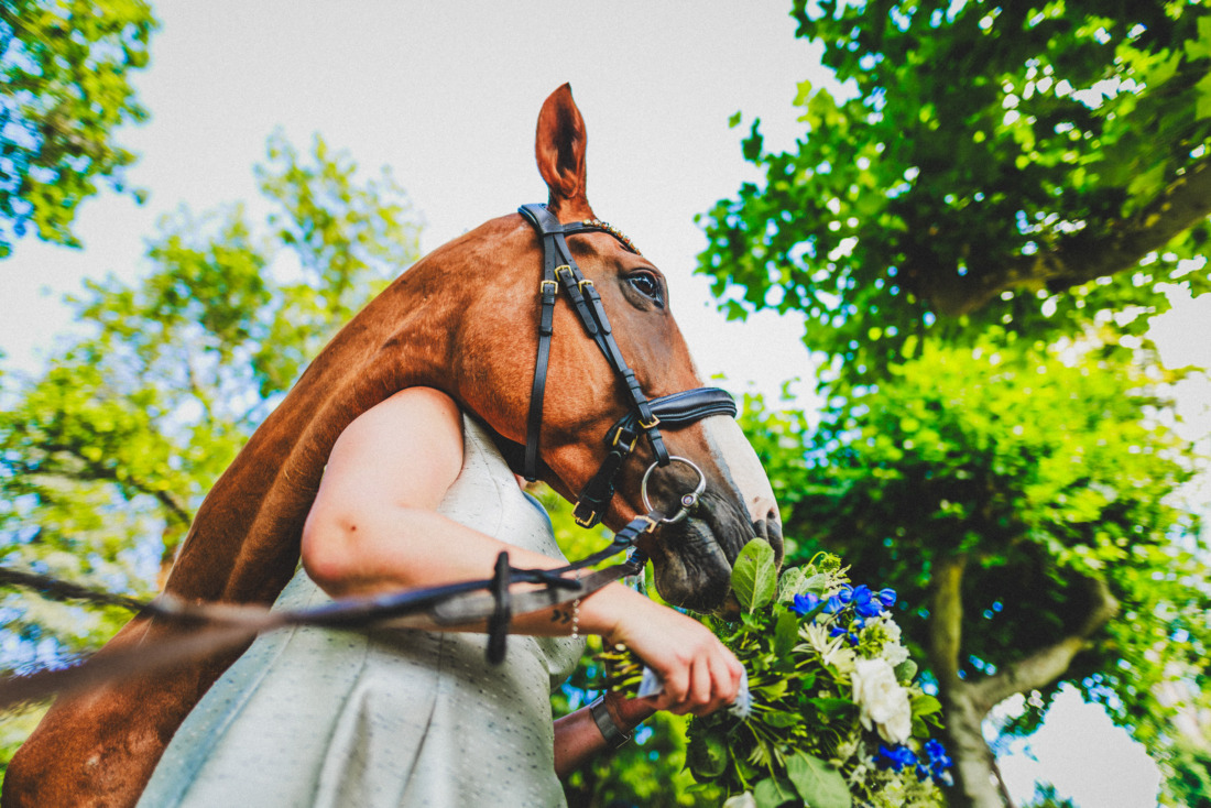 Pferd knabbert am Brautstrauß während einer Hochzeit - humorvoller Moment fotografiert von Rossi, Hochzeitsfotograf Gießen